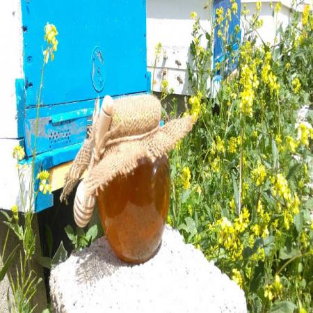 نمایندگی فروش عسل چهل گیاه در کشور