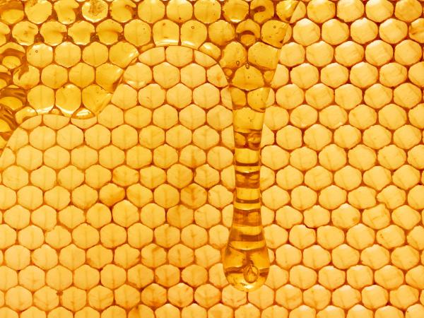 راهنمای خرید عسل چهل گیاه با کیفیت بالا