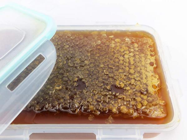 صادرات عسل با قیمت مناسب به ترکیه
