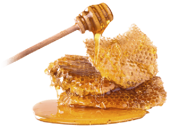 عرضه بدون واسطه عسل طبیعی در کشور
