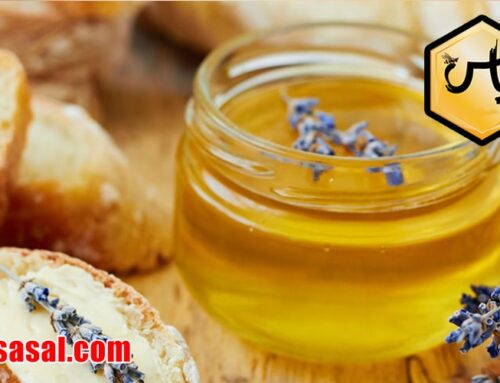 خرید عسل عمده در اصفهان با قیمت مناسب