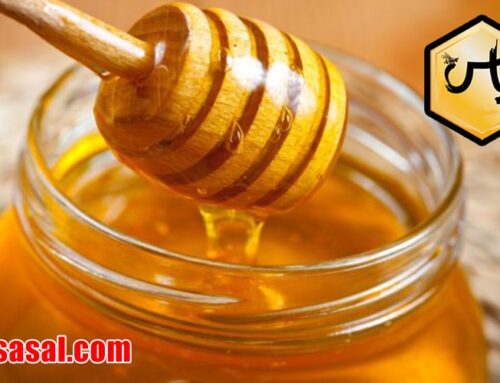 فروش عمده عسل طبیعی شاه بلوط با قیمت مناسب