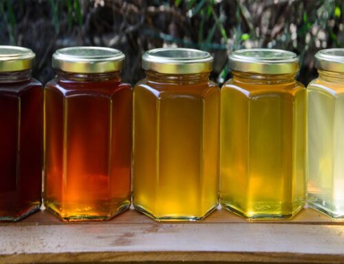 خرید انواع عسل طبیعی در ایران